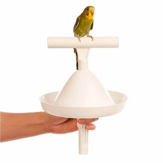 Casper Portable Perch and Training Tool