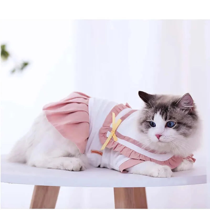 Rose Cat Dress