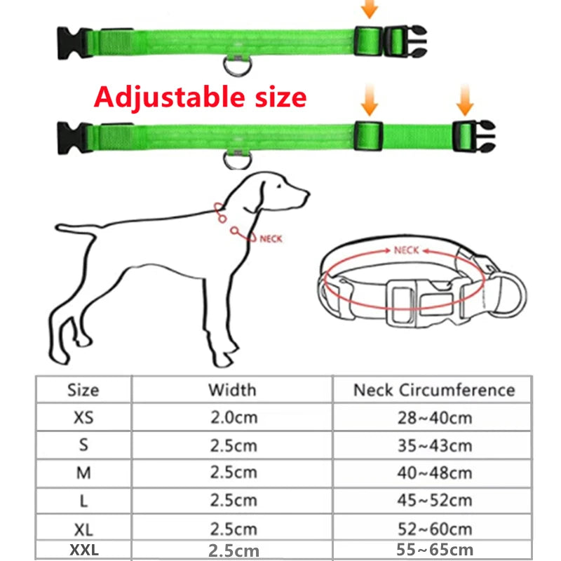 LED Glowing Dog Collar Adjustable Flashing Rechargeable