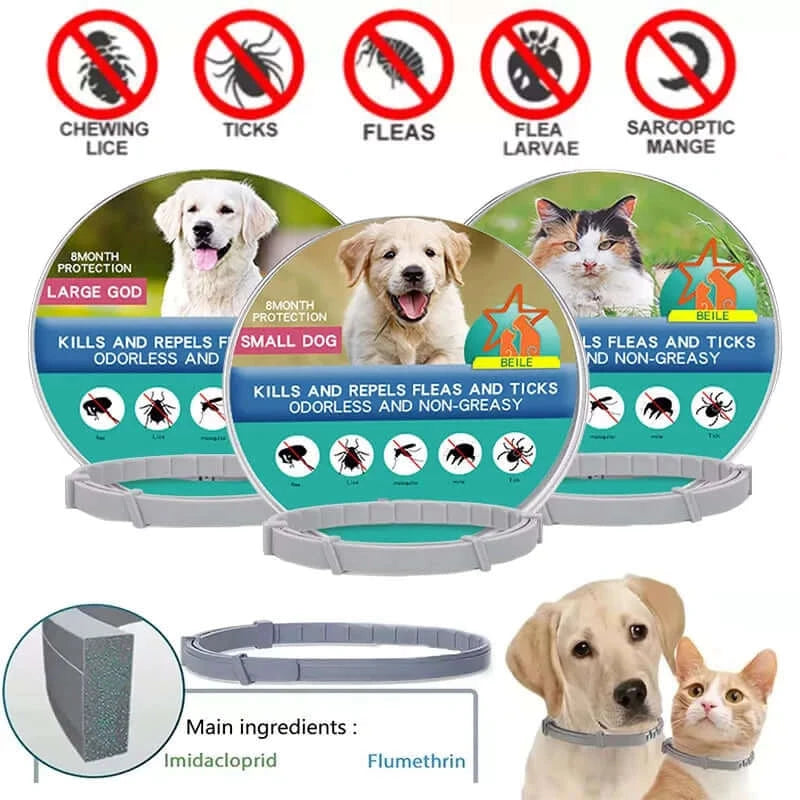 Scooby Anti Flea Ticks and  Collar Protection