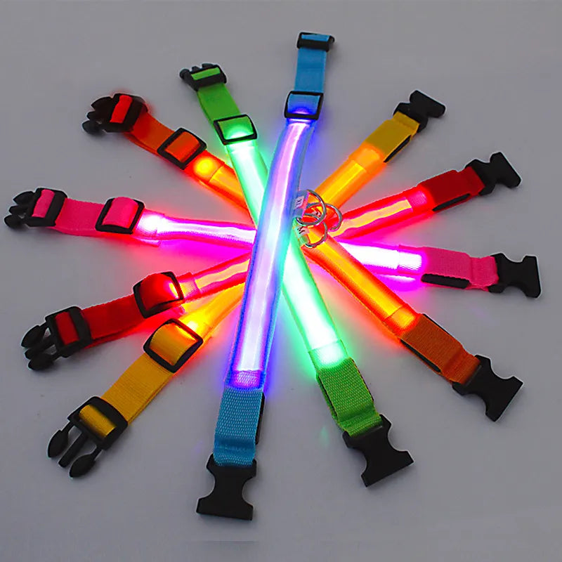 LED Glowing Dog Collar Adjustable Flashing Rechargeable