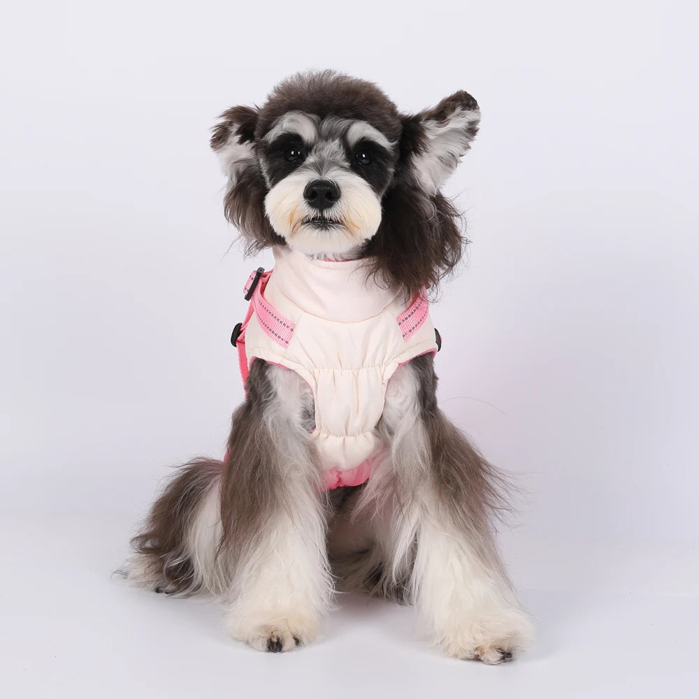 Waterproof Dog Jacket With Harness