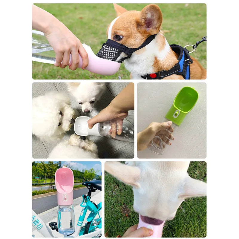 Food Bottle Pets Outdoor Travel