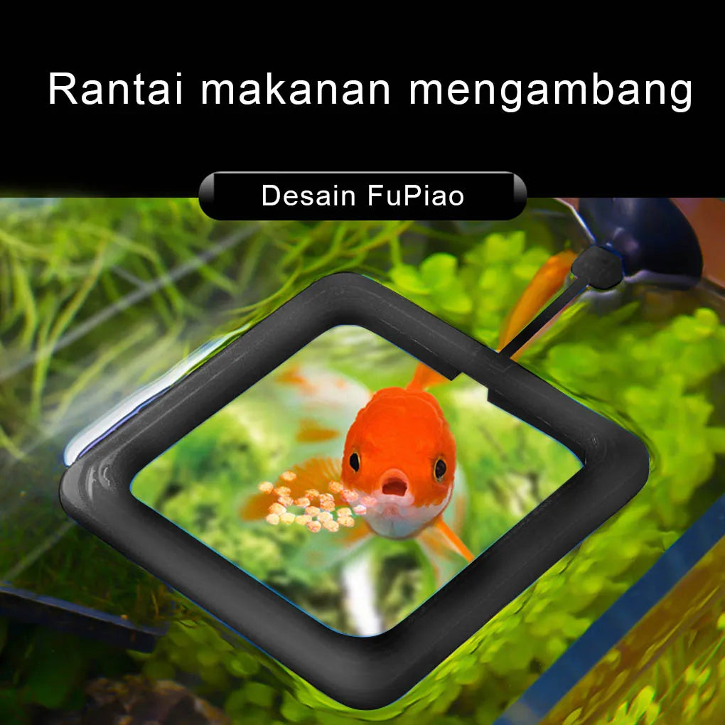 Floating Food Tray