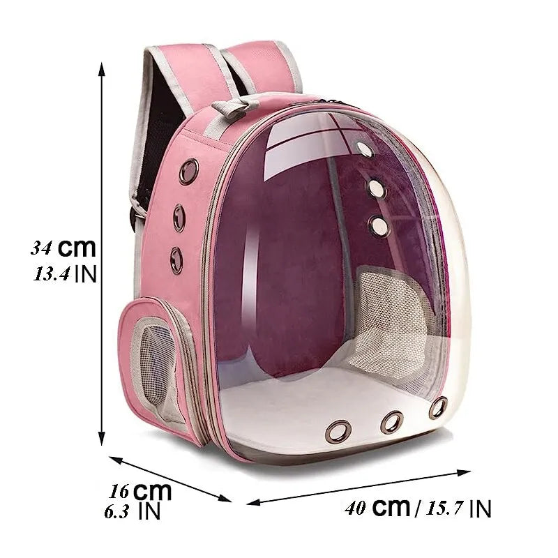 Cherry Transparent Capsule Backpack