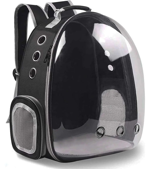 Cherry Transparent Capsule Backpack