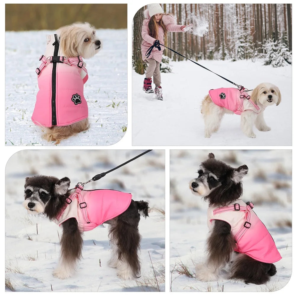 Waterproof Dog Jacket With Harness