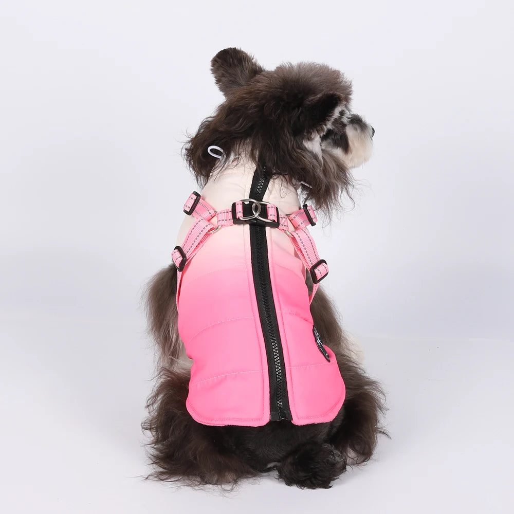 Waterproof Dog Jacket With Harness