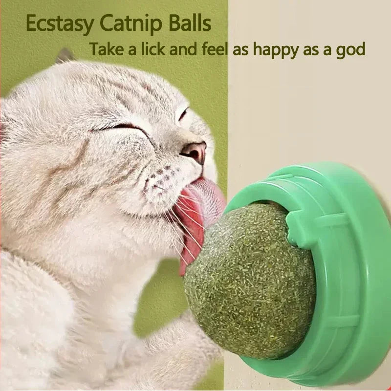 Catnip Cat Toys