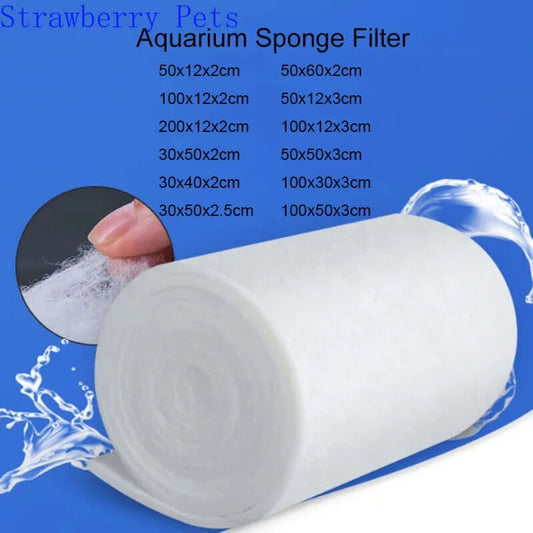 Aquarium Sponge