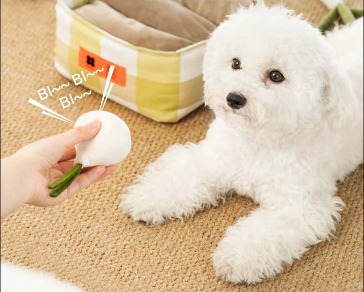 Snuffle Toys Set Vegetable-Shape Interactive Toy  and Treat Puzzle