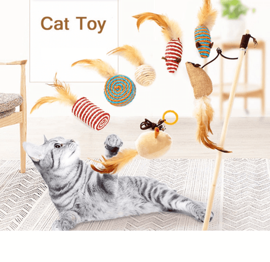 kitten toy set